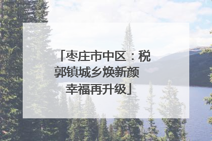 枣庄市中区：税郭镇城乡焕新颜 幸福再升级