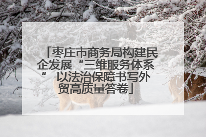 枣庄市商务局构建民企发展“三维服务体系” 以法治保障书写外贸高质量答卷