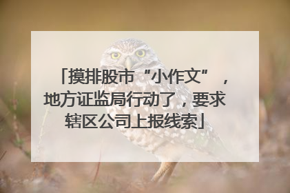 摸排股市“小作文”，地方证监局行动了，要求辖区公司上报线索