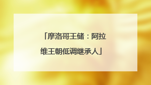 摩洛哥王储：阿拉维王朝低调继承人