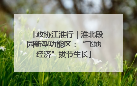 政协江淮行｜淮北段园新型功能区：“飞地经济”拔节生长