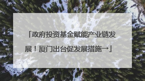 政府投资基金赋能产业链发展！厦门出台促发展措施→