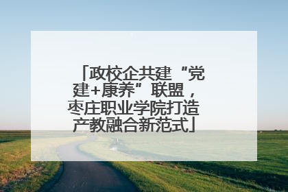 政校企共建“党建+康养”联盟，枣庄职业学院打造产教融合新范式