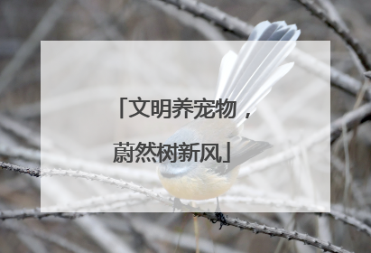 文明养宠物，蔚然树新风