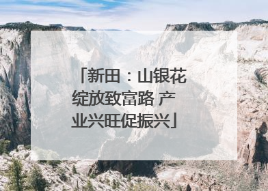 新田：山银花绽放致富路 产业兴旺促振兴