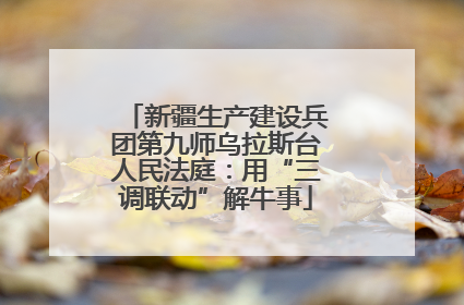 新疆生产建设兵团第九师乌拉斯台人民法庭：用“三调联动”解牛事