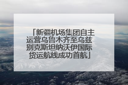 新疆机场集团自主运营乌鲁木齐至乌兹别克斯坦纳沃伊国际货运航线成功首航