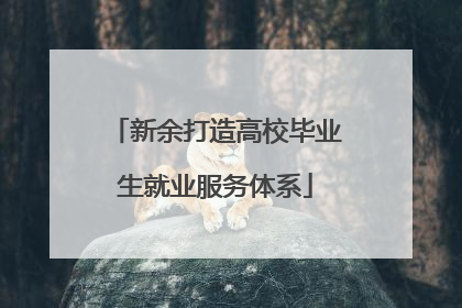 新余打造高校毕业生就业服务体系