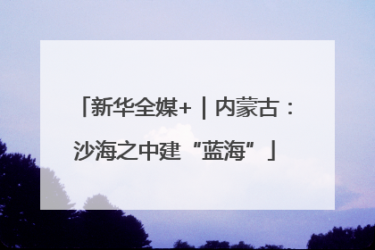 新华全媒+｜内蒙古：沙海之中建“蓝海”