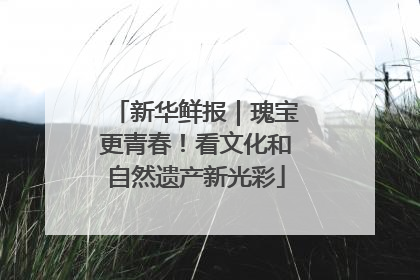 新华鲜报｜瑰宝更青春！看文化和自然遗产新光彩