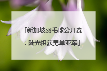 新加坡羽毛球公开赛：陆光祖获男单亚军