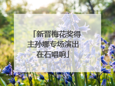 新晋梅花奖得主孙娜专场演出在石唱响
