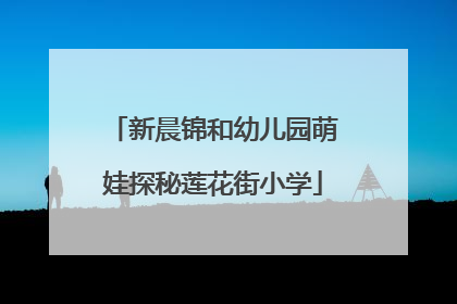新晨锦和幼儿园萌娃探秘莲花街小学