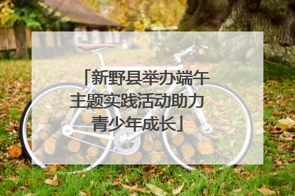 新野县举办端午主题实践活动助力青少年成长