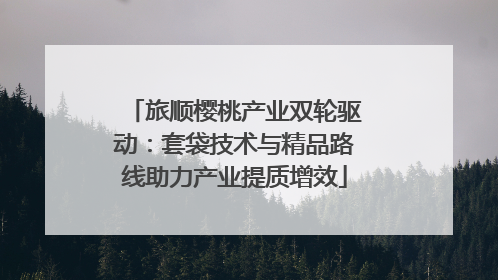 旅顺樱桃产业双轮驱动：套袋技术与精品路线助力产业提质增效