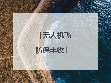 无人机飞防保丰收