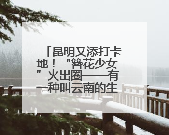 昆明又添打卡地！“簪花少女”火出圈——有一种叫云南的生活之365天