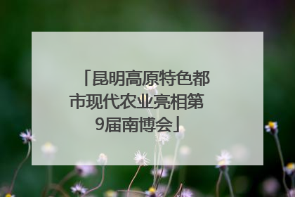 昆明高原特色都市现代农业亮相第9届南博会
