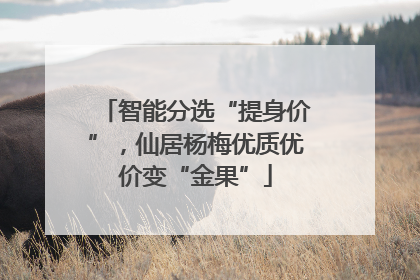 智能分选“提身价”，仙居杨梅优质优价变“金果”