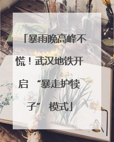 暴雨晚高峰不慌！武汉地铁开启 “暴走护犊子” 模式