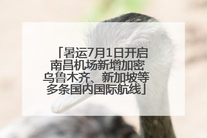 暑运7月1日开启 南昌机场新增加密乌鲁木齐、新加坡等多条国内国际航线