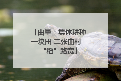 曲阜：集体耕种一块田 二张曲村“稻”路宽