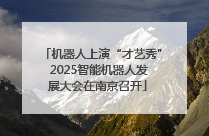 机器人上演“才艺秀” 2025智能机器人发展大会在南京召开