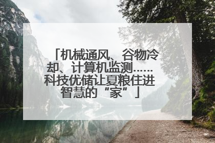 机械通风、谷物冷却、计算机监测……科技优储让夏粮住进智慧的“家”
