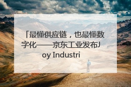 最懂供应链，也最懂数字化——京东工业发布Joy Industrial 重塑工业未来