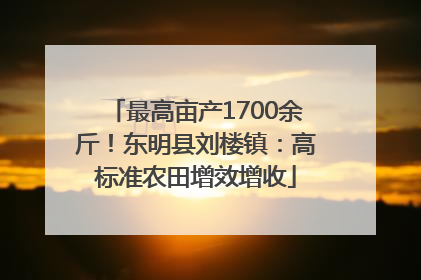 最高亩产1700余斤！东明县刘楼镇：高标准农田增效增收