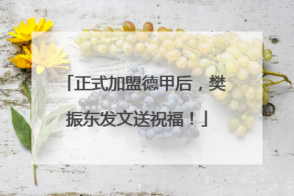 正式加盟德甲后，樊振东发文送祝福！