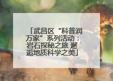 武昌区“科普润万家”系列活动：岩石探秘之旅 邂逅地质科学之美