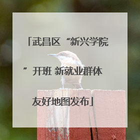 武昌区“新兴学院”开班 新就业群体友好地图发布