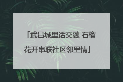 武昌城里话交融 石榴花开串联社区邻里情