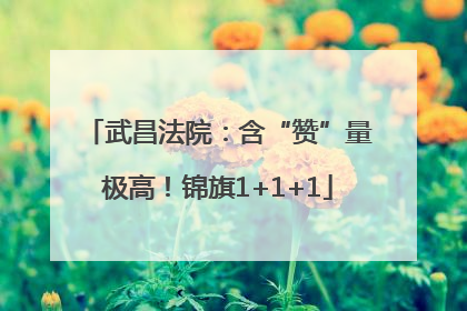 武昌法院：含“赞”量极高！锦旗1+1+1