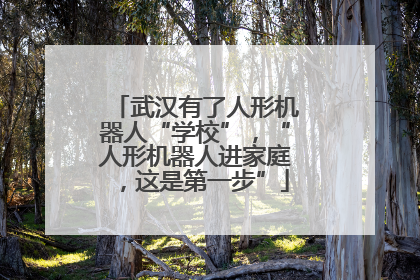 武汉有了人形机器人“学校”，“人形机器人进家庭，这是第一步”