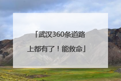 武汉360条道路上都有了！能救命