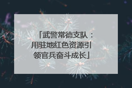 武警常德支队：用驻地红色资源引领官兵奋斗成长