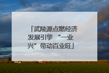 武陵源点燃经济发展引擎 “一业兴”带动百业旺