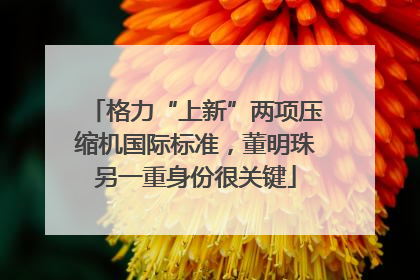 格力“上新”两项压缩机国际标准，董明珠另一重身份很关键