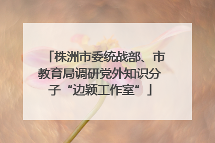 株洲市委统战部、市教育局调研党外知识分子“边颖工作室”