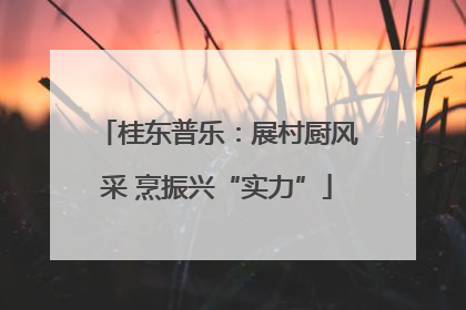 桂东普乐：展村厨风采 烹振兴“实力”