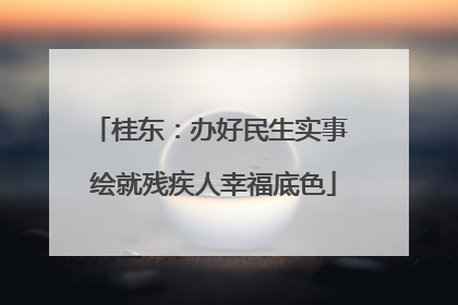 桂东：办好民生实事 绘就残疾人幸福底色