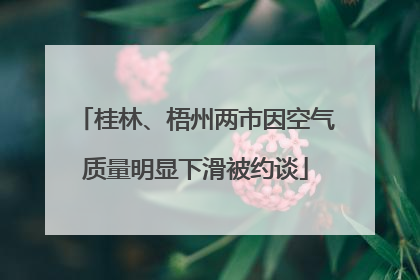 桂林、梧州两市因空气质量明显下滑被约谈