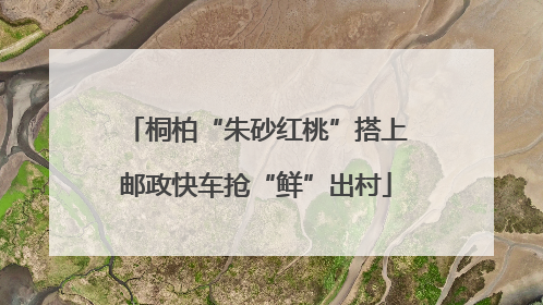 桐柏“朱砂红桃”搭上邮政快车抢“鲜”出村