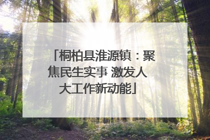 桐柏县淮源镇：聚焦民生实事 激发人大工作新动能