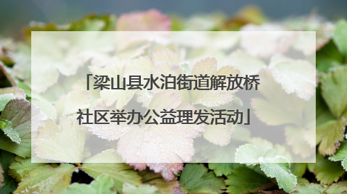 梁山县水泊街道解放桥社区举办公益理发活动