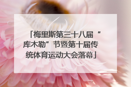 梅里斯第三十八届“库木勒”节暨第十届传统体育运动大会落幕