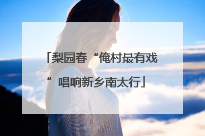 梨园春“俺村最有戏”唱响新乡南太行