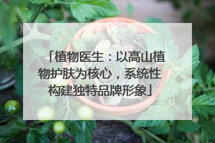 植物医生：以高山植物护肤为核心，系统性构建独特品牌形象